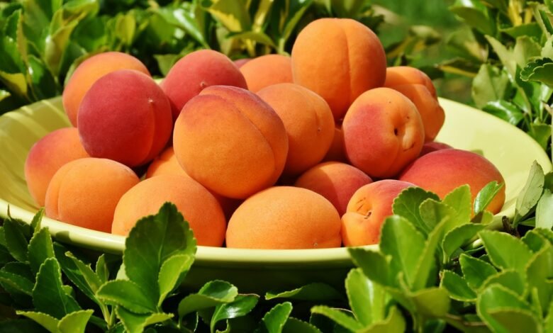 peaches, fruits, bowl-1522680.jpg